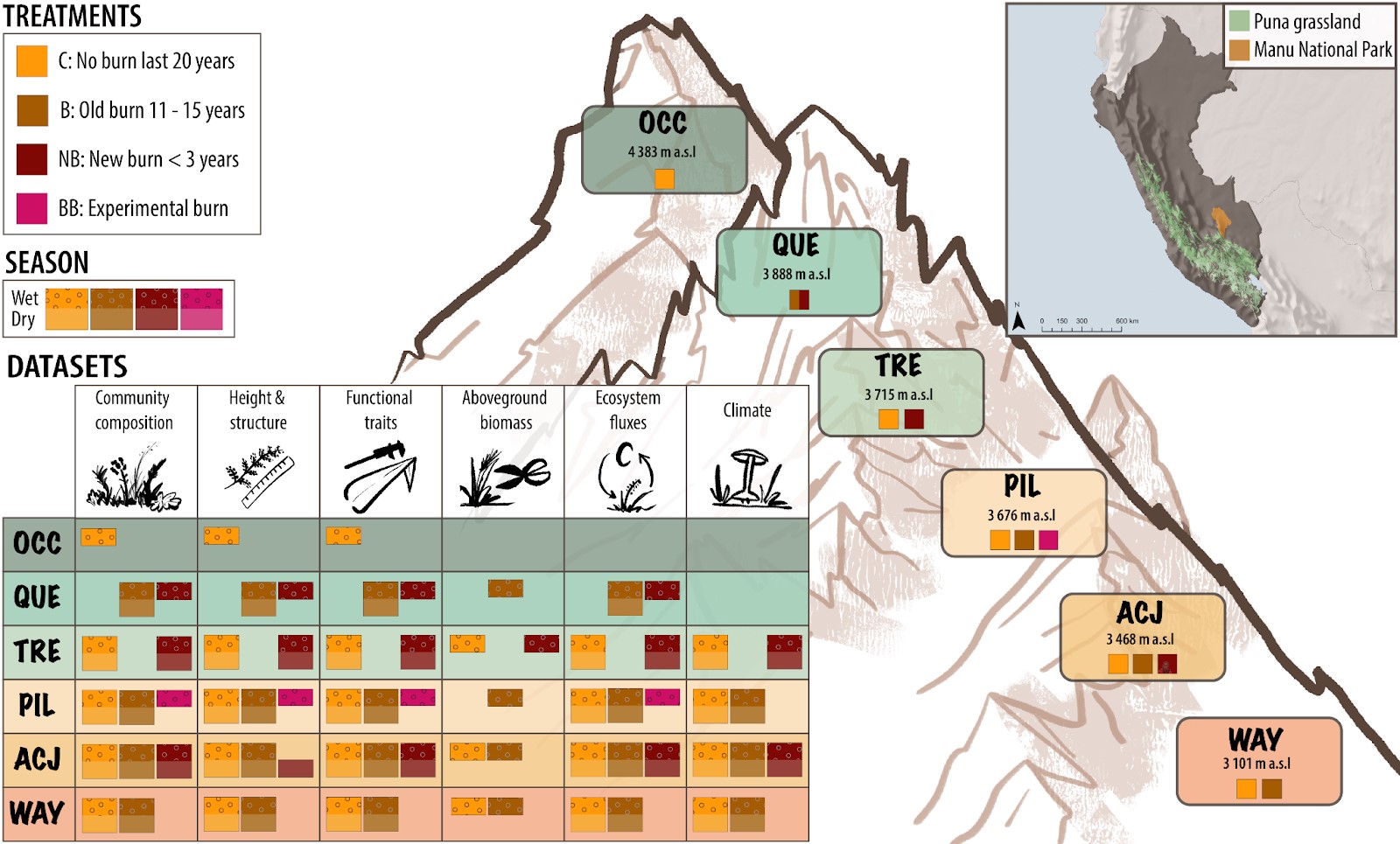 Experimental sites and treatments along an elevational gradient in the Puna grasslands in Perú. The inset table shows the datasets that are available for each site (green to reddish boxes), treatment (yellow, brown, and blue squares within sites), and season (dark dropped vs. lighter faded rectangles within squares).